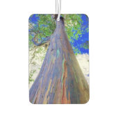 Raqinbow Eucalyptus Air Freshener Luchtverfrisser (Achterkant)