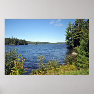 Raquette Lank in Adirondack print 08 229