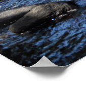 Raquette River in de Adirondack. print 08 258 (Hoek)