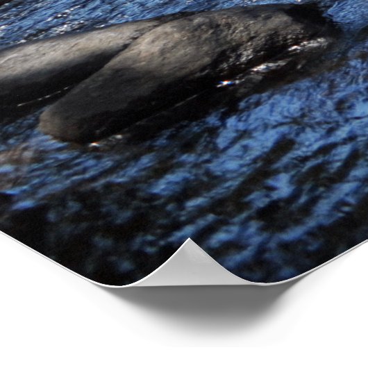 Raquette River in de Adirondack. print 08 258 (Hoek)