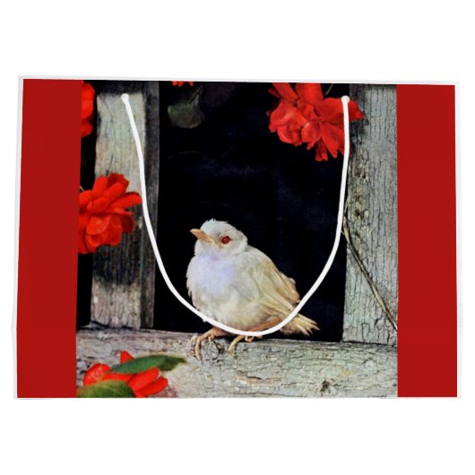 RARE albino robin Groot Cadeauzakje (Achterkant)