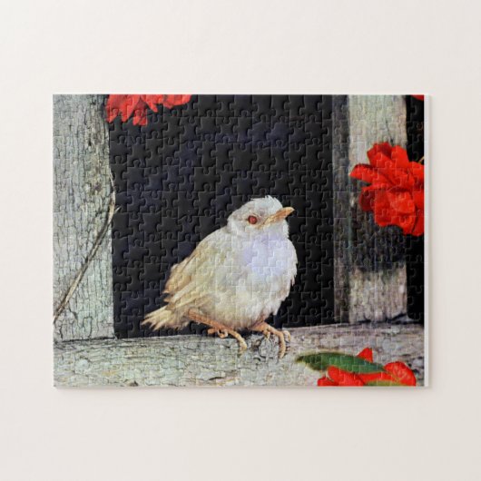 RARE albino robin Legpuzzel (Horizontaal)