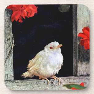 RARE albino robin Onderzetter