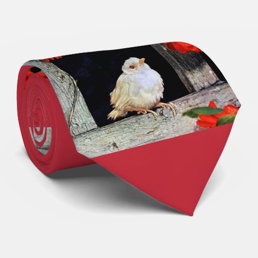 RARE albino robin Stropdas (Opgerold)