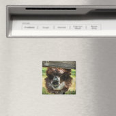 Rare Alpaca Magneet (Insitu (Vaatwasser))