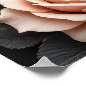 Rare as a black swan, timeless as true love. poster (Hoek)