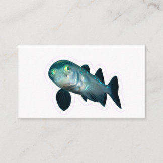Rare Barreleye Deep Sea Fish Transparent Head Stic Informatiekaartje