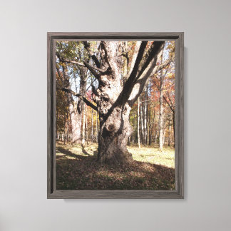 Rare Boom Canvas Afdruk