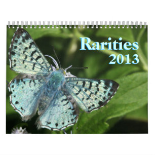 Rare Butterflies 2013 Kalender