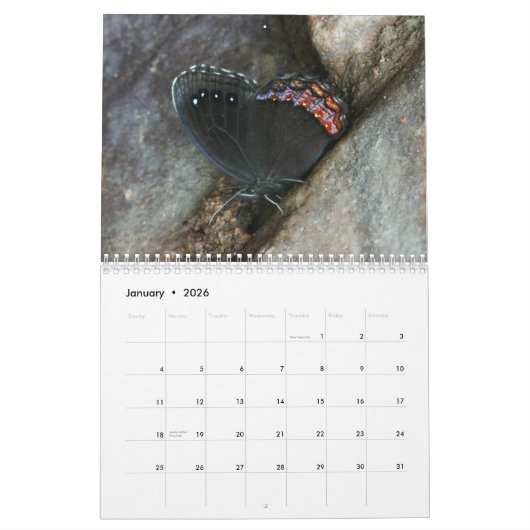 Rare Butterflies 2013 Kalender (Jan 2026)