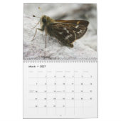 Rare Butterflies 2013 Kalender (Mar 2027)