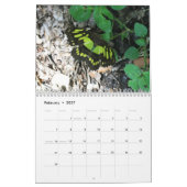 Rare Butterflies 2013 Kalender (Feb 2027)