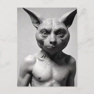 Rare Cat Guy Briefkaart