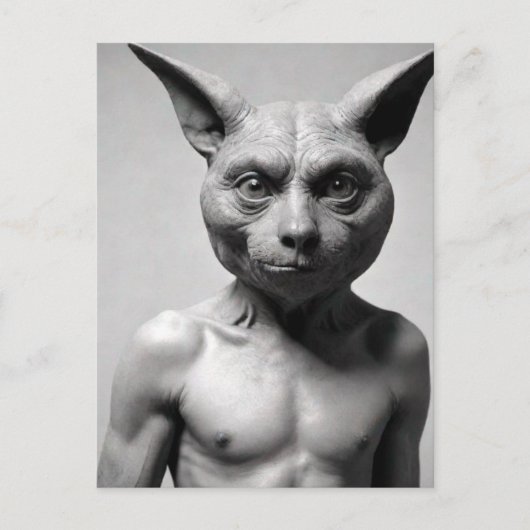 Rare Cat Guy Briefkaart (Voorkant)
