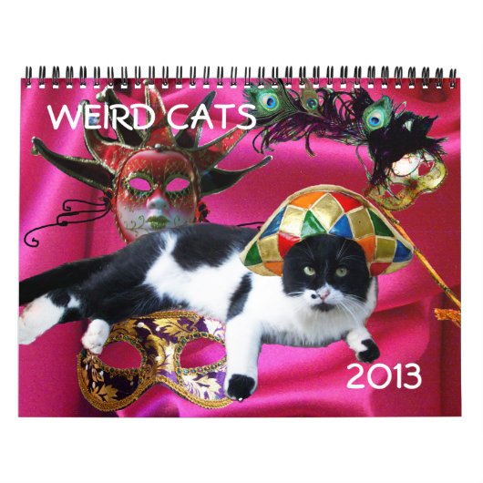RARE KATTEN 2013 KALENDER (Hoes)