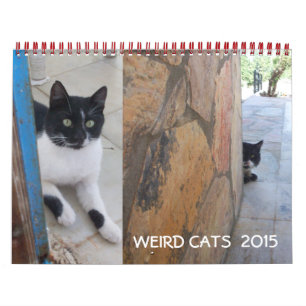 RARE KATTEN 2015 KALENDER