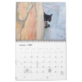 RARE KATTEN 2017 KALENDER (Jan 2027)