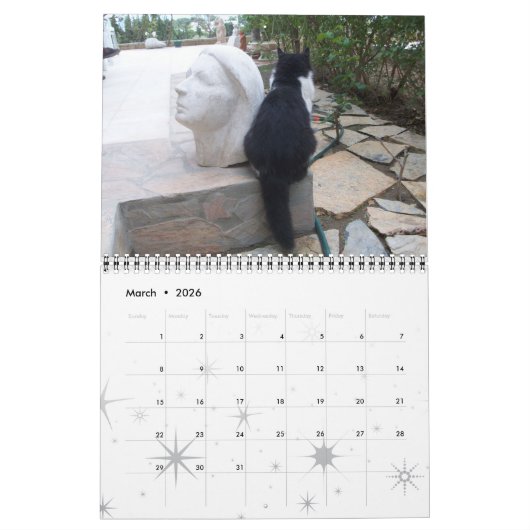 RARE KATTEN 2017 KALENDER (Mar 2026)