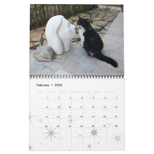 RARE KATTEN 2017 KALENDER (Feb 2026)