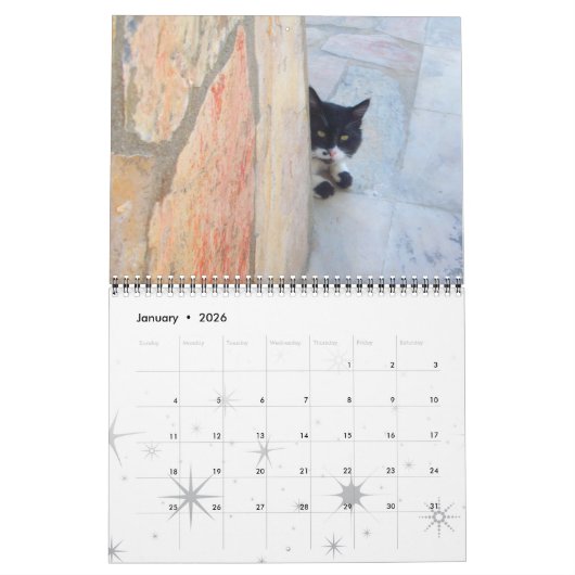 RARE KATTEN 2017 KALENDER (Jan 2026)