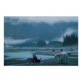 Rare Kermode Beer (Spirit Beer) en Misty River Poster