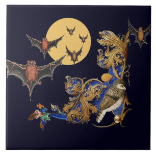 RARE MIDDELEEUWSE BESTIARY, VOGEL, VLEERMUIZEN IN  TEGELTJE