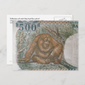 Rare Orangutan Limited Edition Briefkaart (Voorkant / Achterkant)