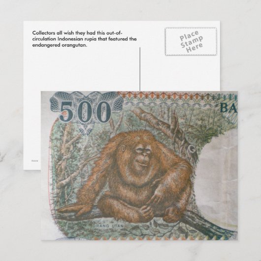 Rare Orangutan Limited Edition Briefkaart (Voorkant / Achterkant)