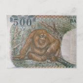 Rare Orangutan Limited Edition Briefkaart (Voorkant)