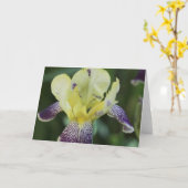 Rare Orchid Wenskaart Kaart (Gele Bloem)