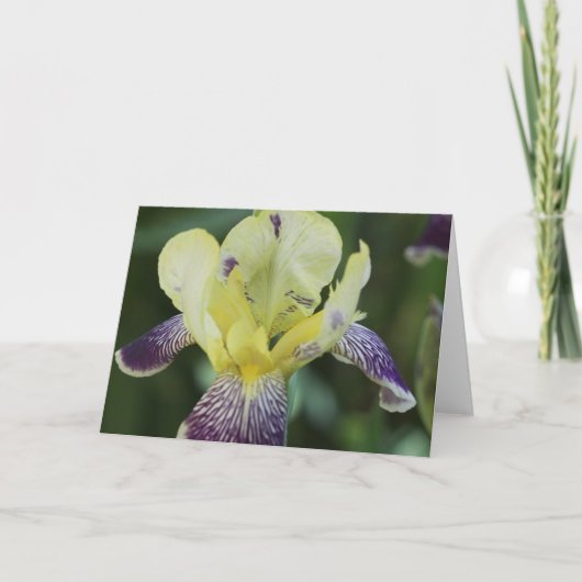 Rare Orchid Wenskaart Kaart (Voorkant)