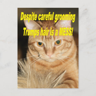 Rare oude Trump Briefkaart