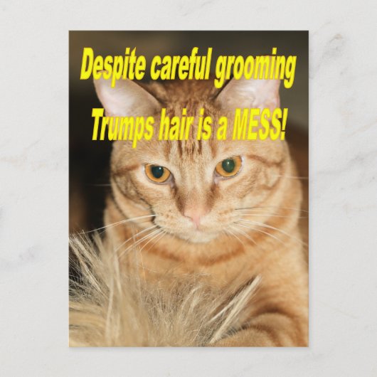 Rare oude Trump Briefkaart (Voorkant)