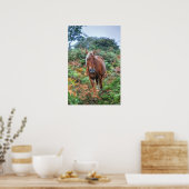 Rare Palomino New Forest Pony & Bracken - Engeland Poster (Keuken)