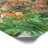 Rare Palomino New Forest Pony & Bracken - Engeland Poster (Hoek)