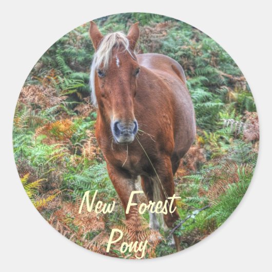 Rare Palomino New Forest Pony & Bracken - Engeland Ronde Sticker (Voorkant)