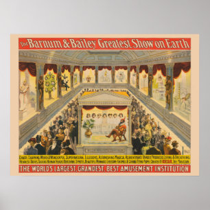 Rare & prachtige bovennatuurlijke illusies in hal poster