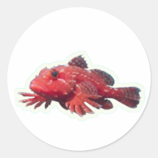 ​Rare Red Handfish Walking Fish - Unique Marine Wi Ronde Sticker