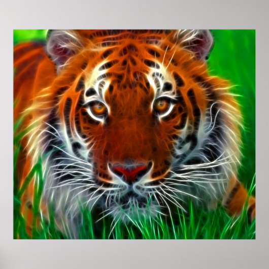 Rare Sumatran Tiger uit Indonesië Poster (Voorkant)