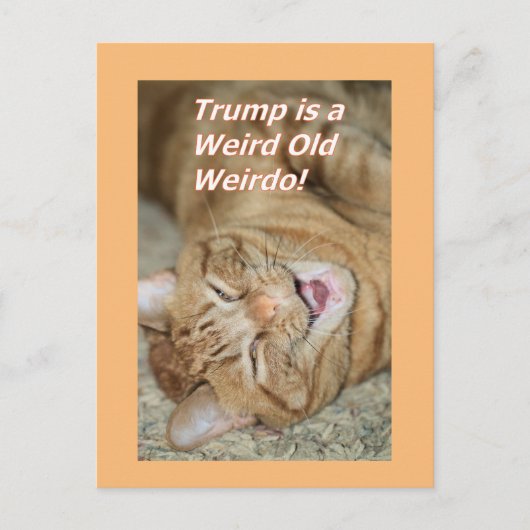 Rare Trump Feestdagenkaart (Voorkant)
