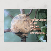 Rare Trump Verloren Ansichtkaart Briefkaart (Voorkant)
