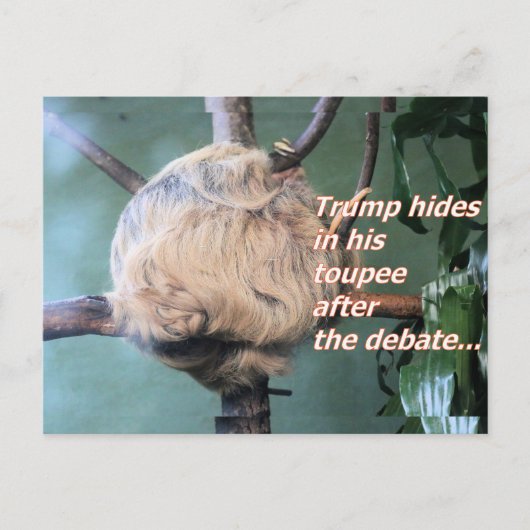 Rare Trump Verloren Ansichtkaart Briefkaart (Voorkant)