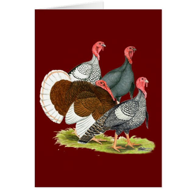 Rare Turkey Kwartet (Voorkant)