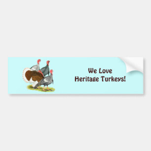 Rare Turkey Kwartet Bumpersticker