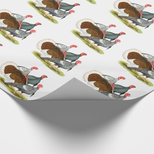 Rare Turkey Kwartet Cadeaupapier (Hoek)