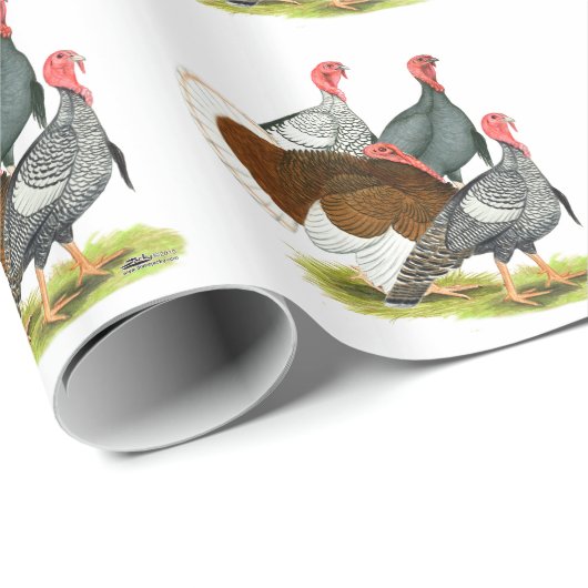 Rare Turkey Kwartet Cadeaupapier (Rol Hoek)