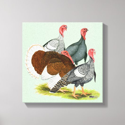 Rare Turkey Kwartet Canvas Afdruk (Voorkant)