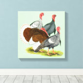Rare Turkey Kwartet Canvas Afdruk (Insitu (Houten vloer))