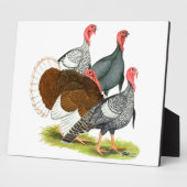 Rare Turkey Kwartet Fotoplaat (Zijkant)