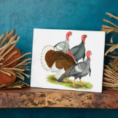 Rare Turkey Kwartet Fotoplaat (Zijkant)